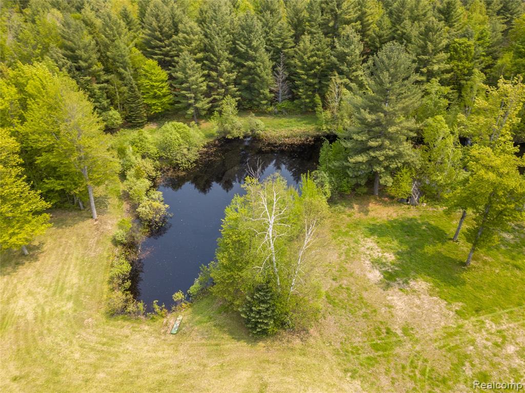 5960 N Trail SE, Kalkaska, MI 49646 — Photo 9