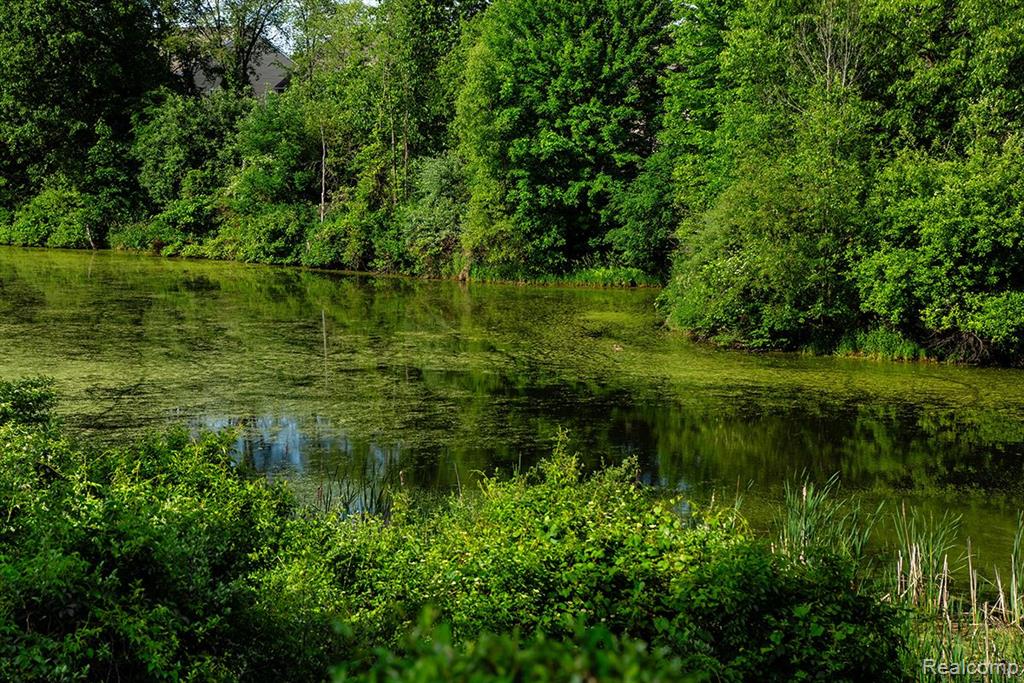 613 Zion Court, Howell, MI 48843 — Photo 36