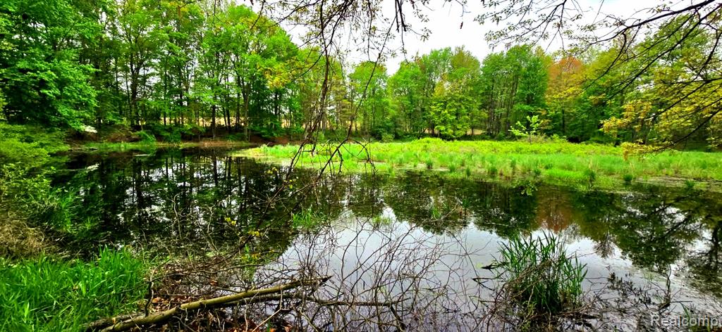 16744 Arnold Road, Gregory, MI 48137 — Photo 4