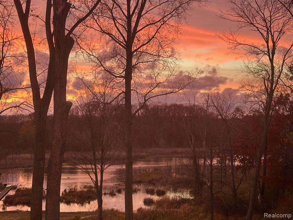 9955 Wiggins Road, Howell, MI 48855 — Photo 56
