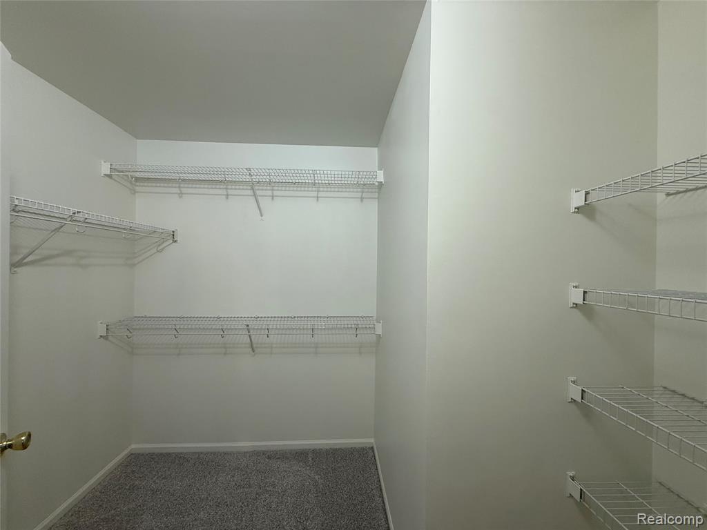 44837 Marigold Drive, Sterling Heights, MI 48314 — Photo 11
