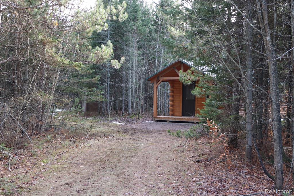 #A W Pendills Lake Road, Brimley, MI 49715 — Photo 5