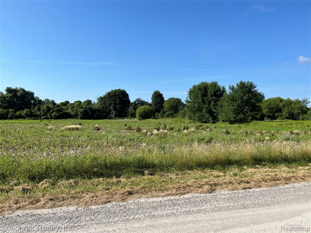 VL Lambs Road, Goodells, MI — Photo 4
