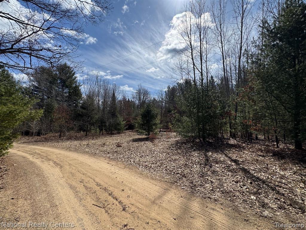 4233 Hardacre Trail, Houghton Lake, MI 48629 — Photo 38