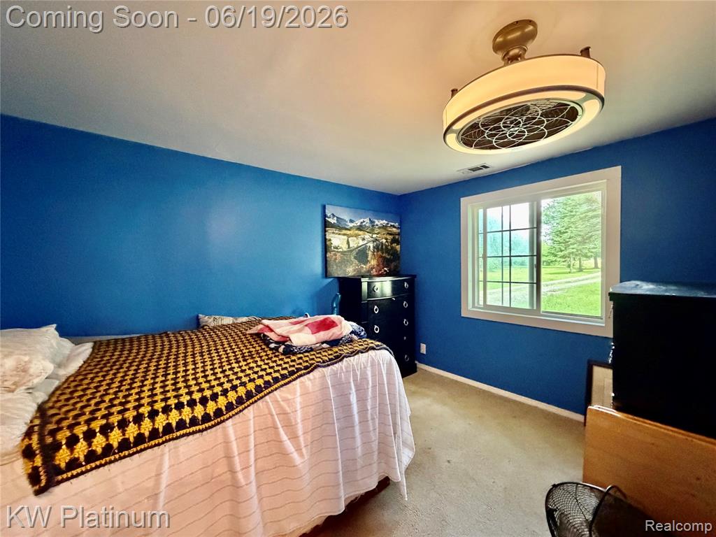 7815 Vincent Road, Croswell, MI 48422 — Photo 10
