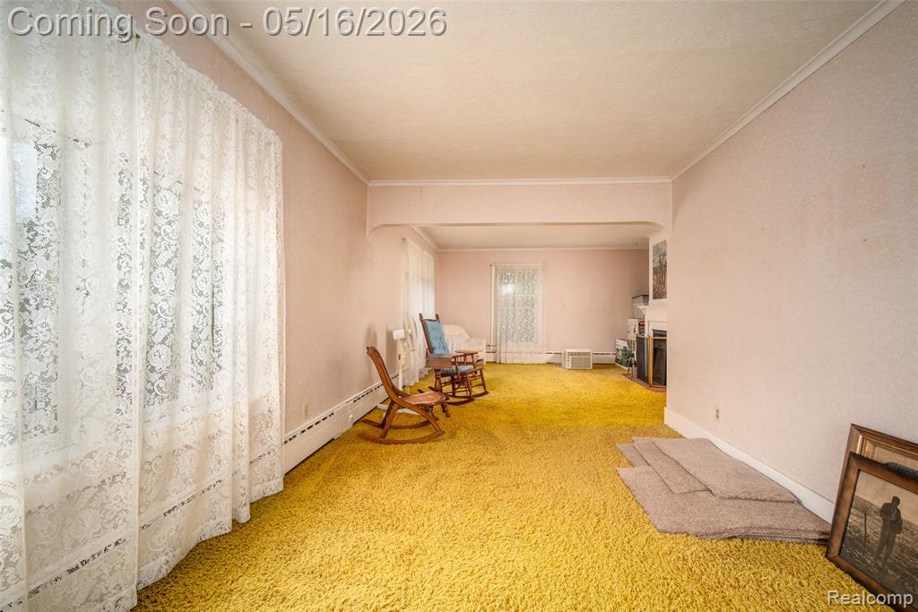 207 N Pine River Street, Ithaca, MI 48847 — Photo 20