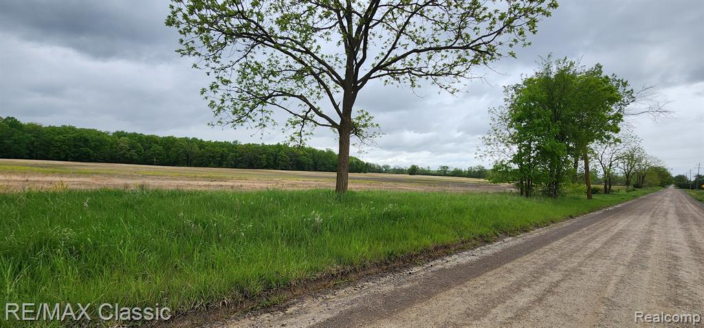 8520 ARKONA Road, Clinton, MI, 49236