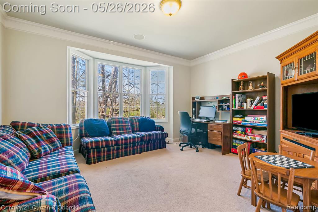 15965 Johnson Creek Drive, Northville, MI 48168 — Photo 20