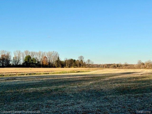 14235 WANTY Road, Milan, MI 48160 — Photo 3