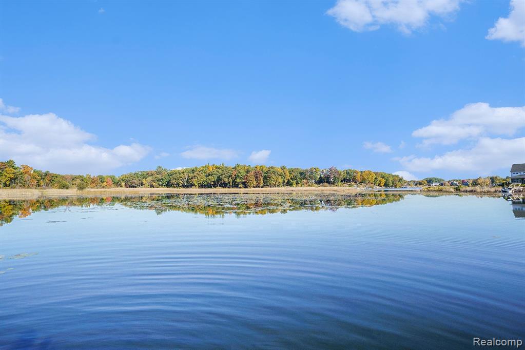 5001 GROVER Drive, Brighton, MI 48116 — Photo 2