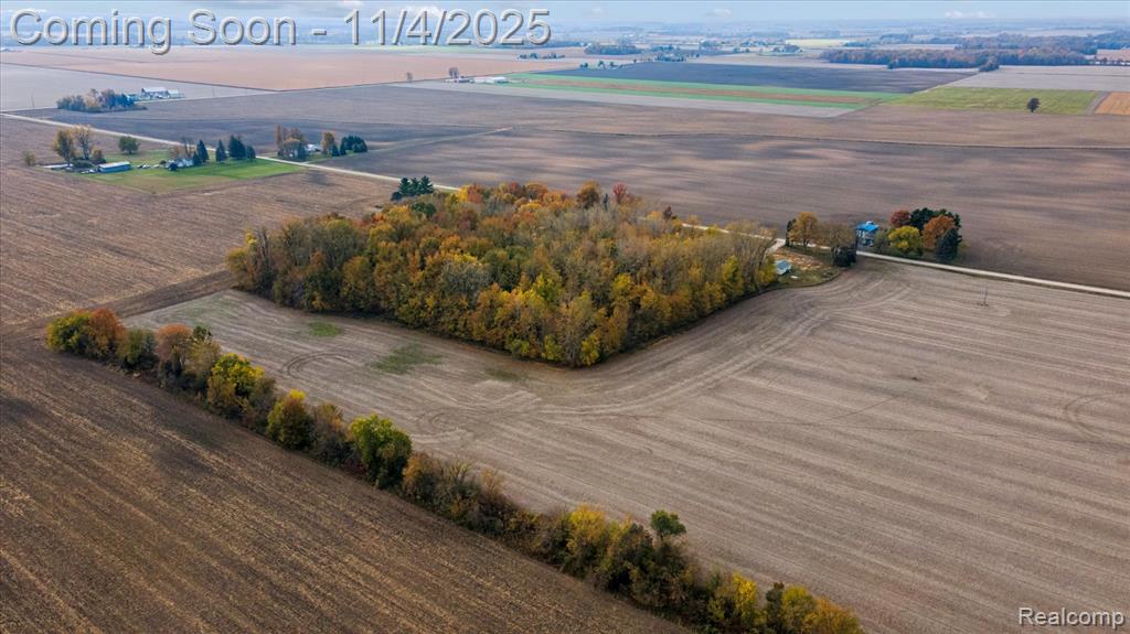 9200 Platt Road, Dundee, MI — Photo 21