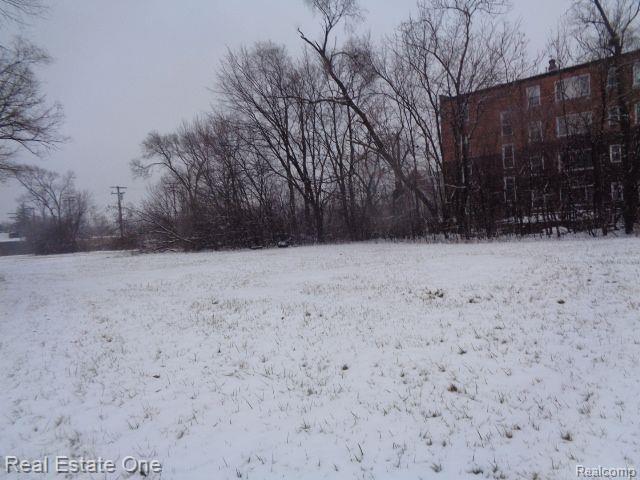 2691 ROCHESTER Street, Detroit, MI 48206 — Photo 10