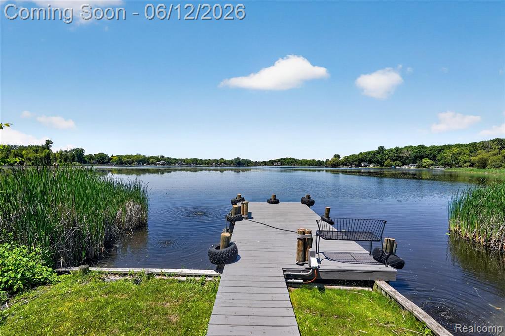 4615 Parker Drive, Howell, MI 48843 — Photo 57