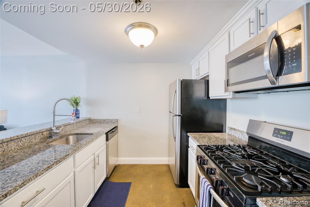 250 E Harbortown Drive, 205, Detroit, MI 48207 — Photo 15
