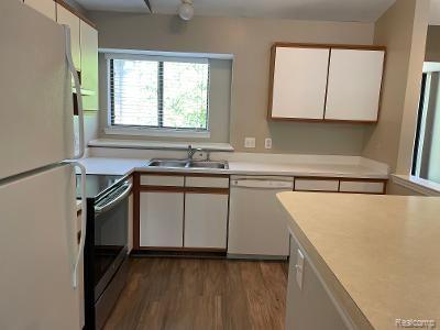 42715 LILLEY POINTE Drive, Canton, MI 48187 — Photo 13