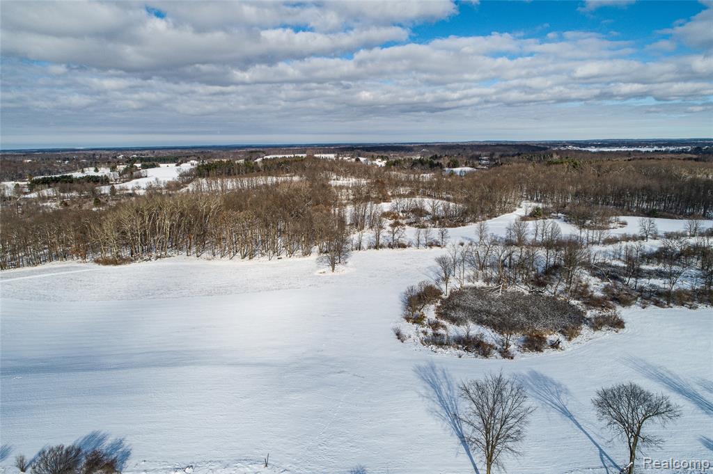 4476 Merwin Road, Lapeer, MI 48446 — Photo 35