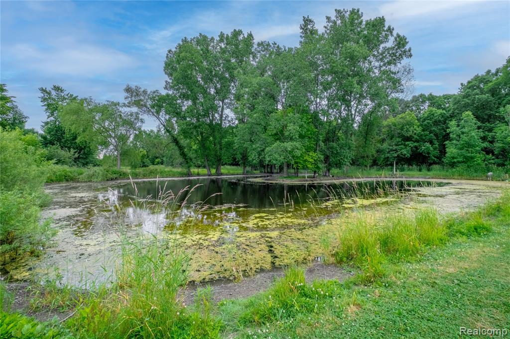 8420 Beers Road, Swartz Creek, MI 48473 — Photo 31
