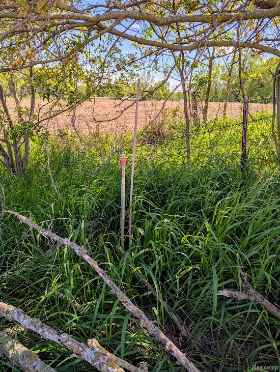 Parcel D - Hogan Road, Linden, MI 48451 — Photo 18