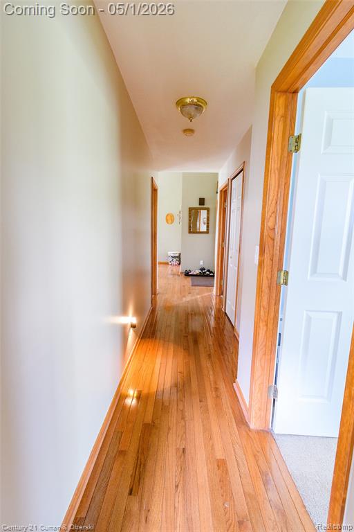 12530 Harris Street, Carleton, MI 48117 — Photo 19