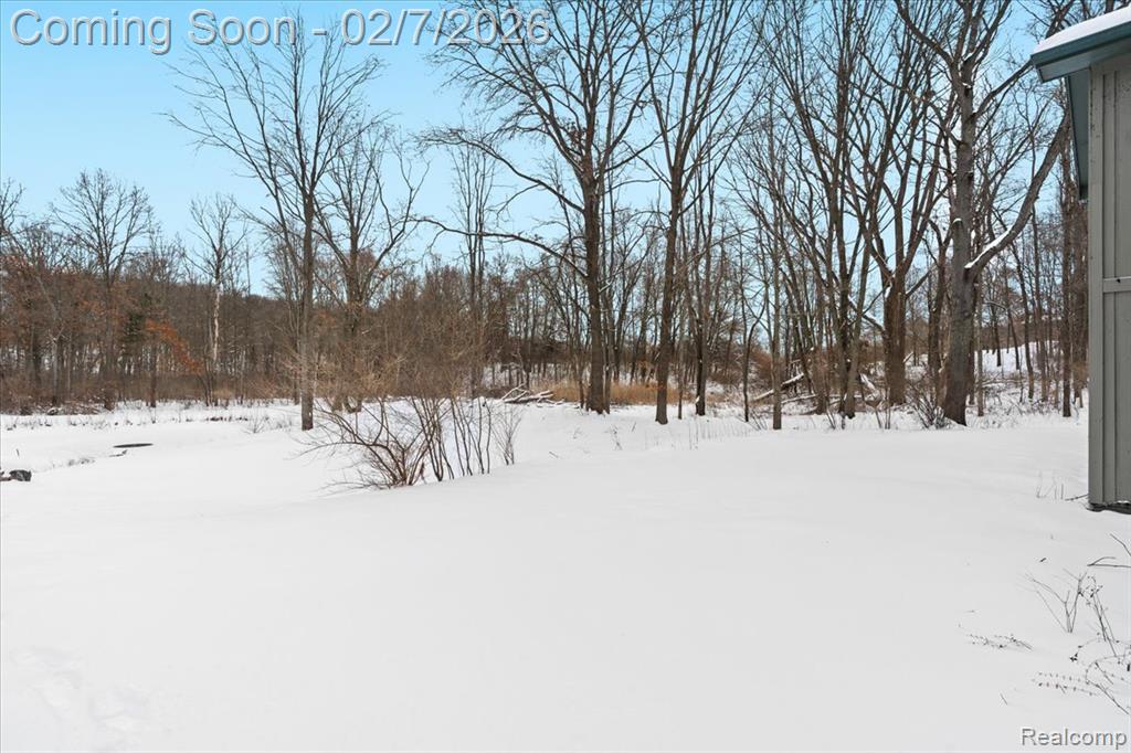 411 Rush Lake Road, Pinckney, MI 48169 — Photo 40