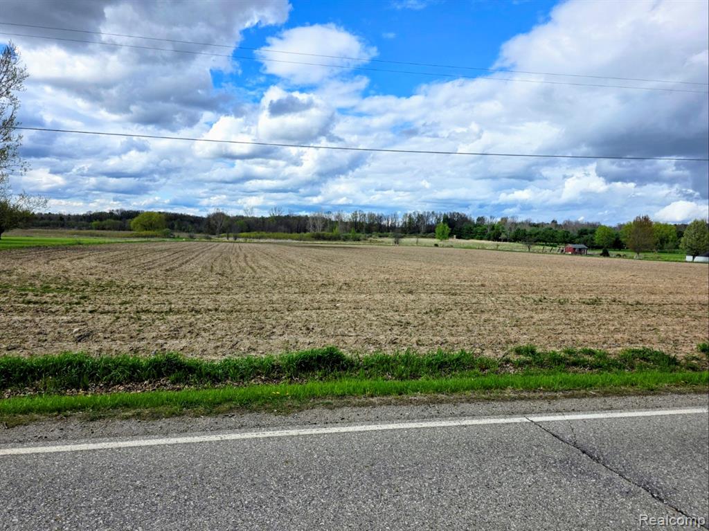 VL Peppermill Road, Lapeer, MI 48446 — Photo 3