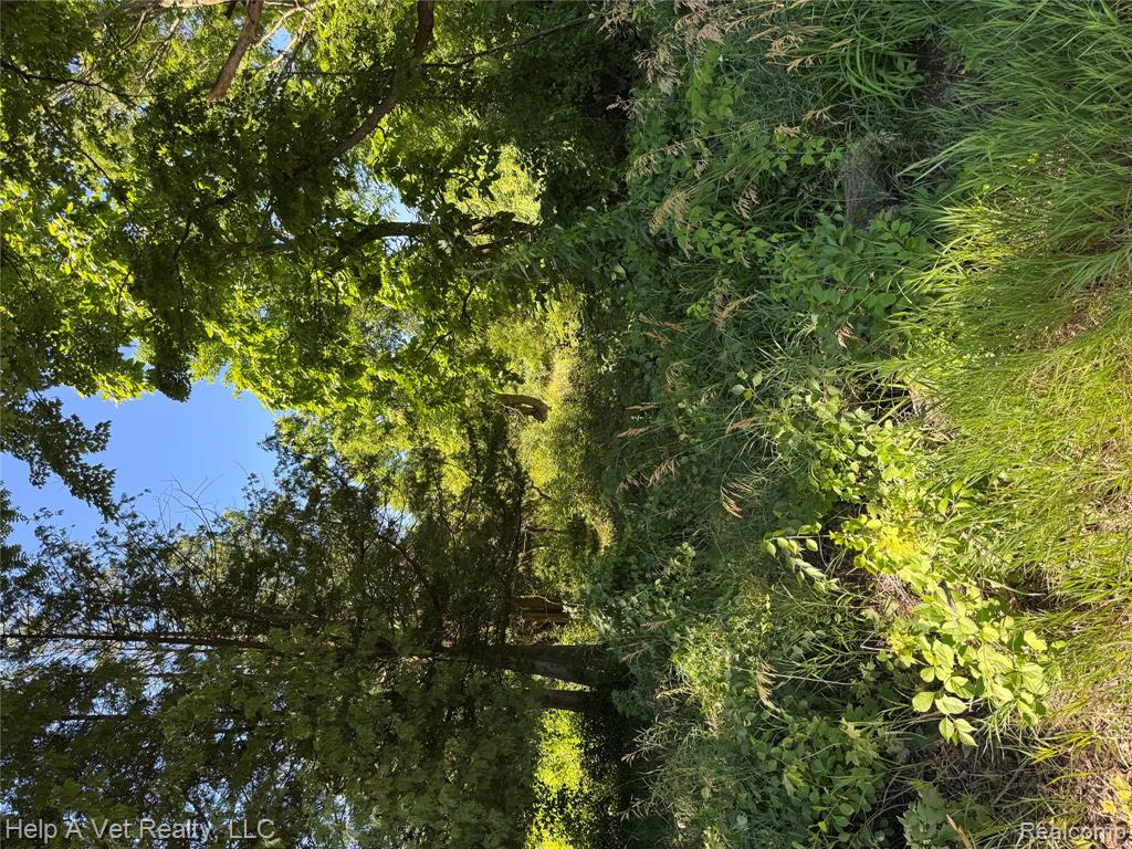 4991 Mayville Road, MI — Photo 2