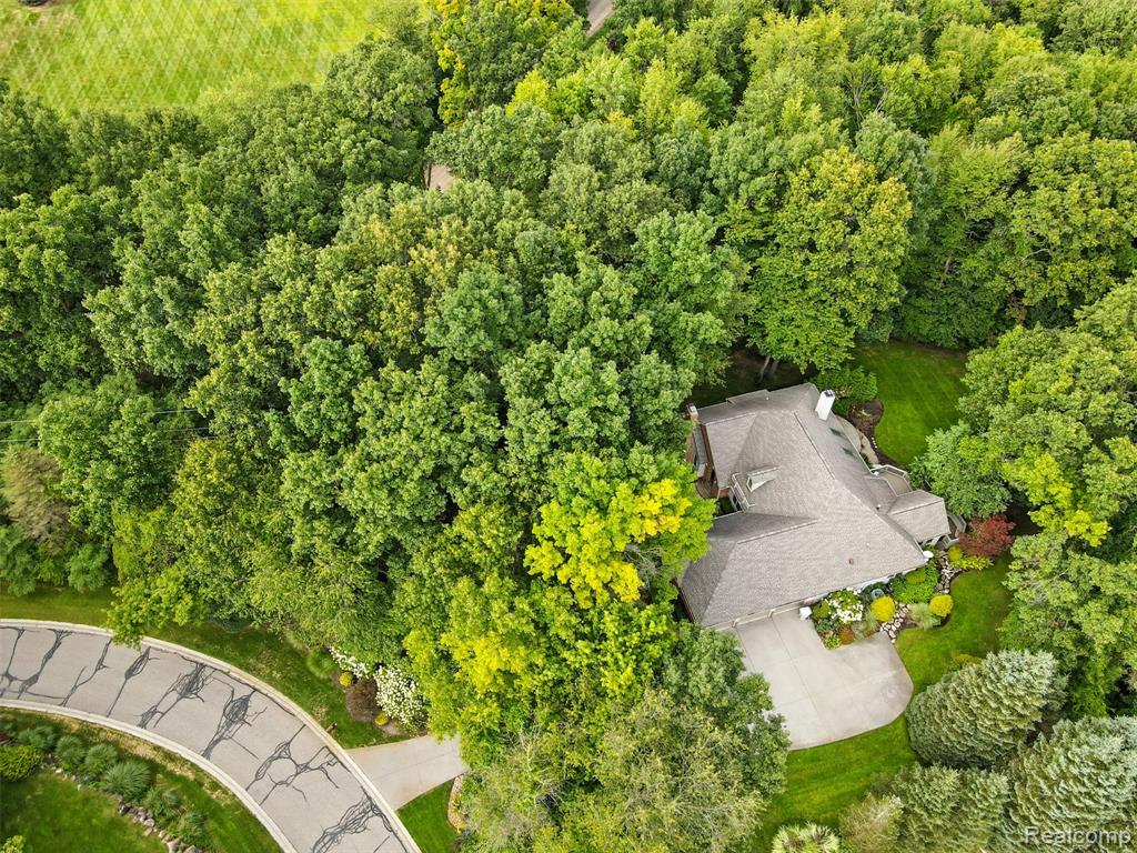 6228 Windemere Point, Brighton, MI 48116 — Photo 55