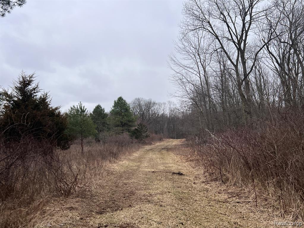 VL Washington Street, Perry, MI 48872 — Photo 7
