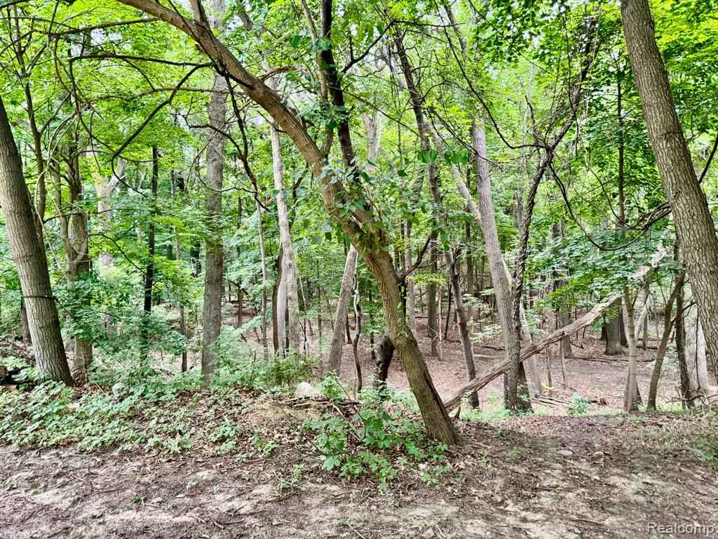 4111 BLOOD Road, Metamora, MI 48455 — Photo 56