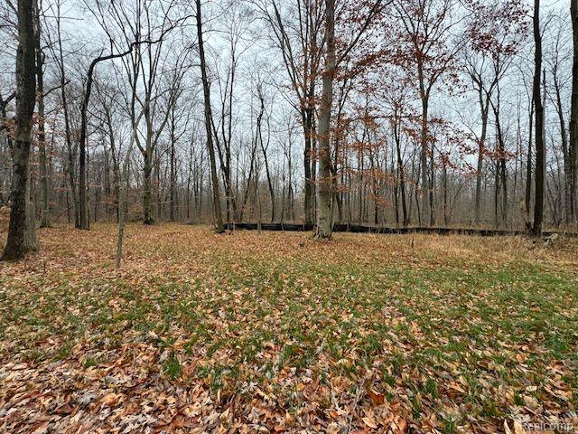 Parcel 1 MCCLEMENTS Road, Brighton, MI 48114 — Photo 4