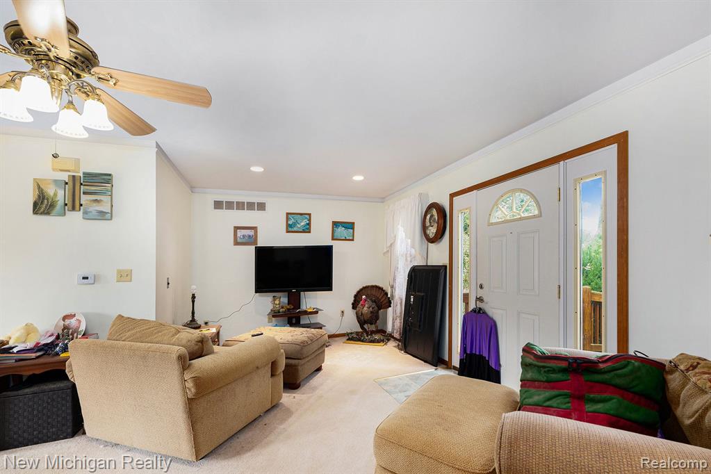 5155 CARRIGAN Road, Clyde, MI 48049 — Photo 23