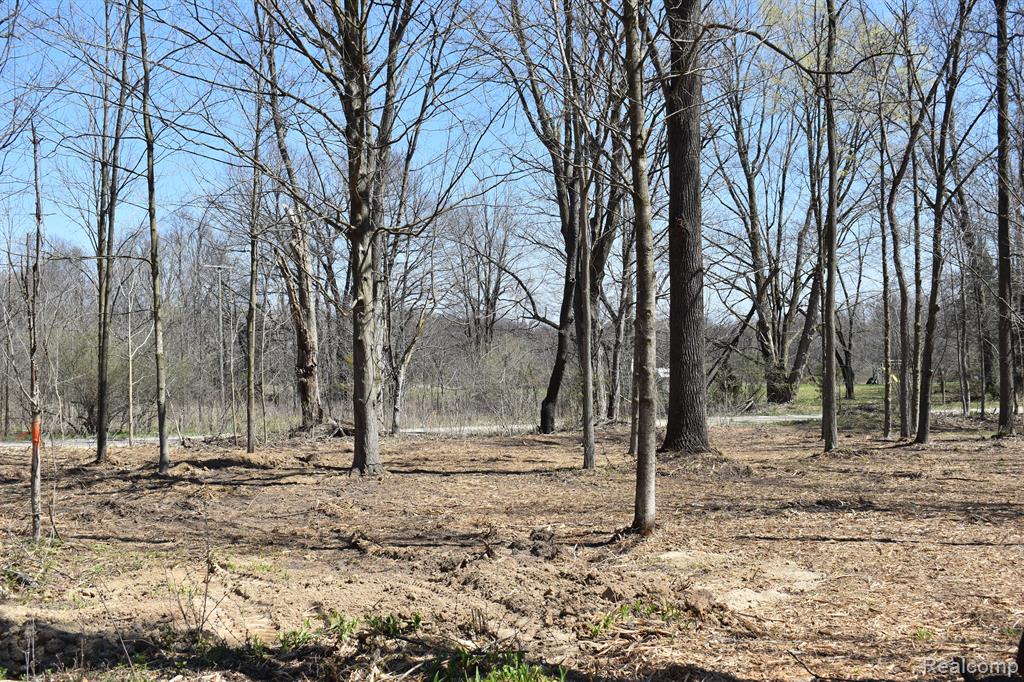 P-9 W ALLEN Road, Fowlerville, MI 48836 — Photo 2