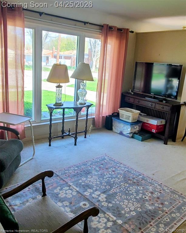 9119 Montana Court, Livonia, MI 48150 — Photo 11