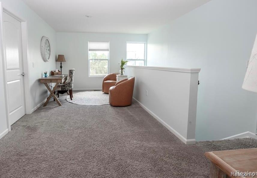 8179 Birchfield Drive, Brighton, MI 48116 — Photo 19