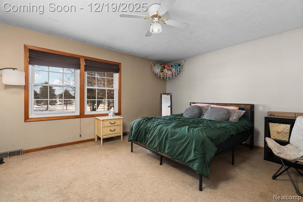 7097 Chase Lake Road W, Fowlerville, MI 48836 — Photo 19