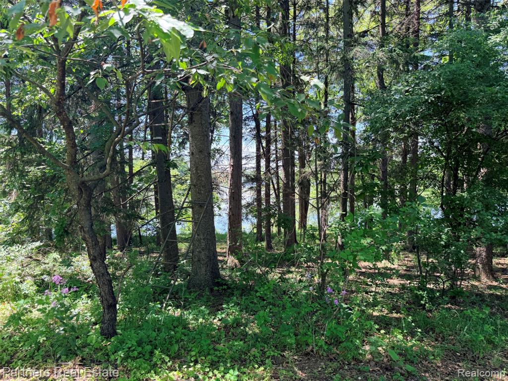 Vacant McKeachie Road, White Lake, MI 48383 — Photo 4
