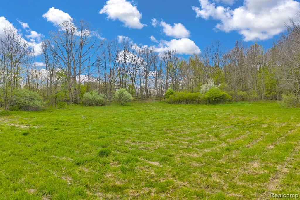 0 Martin Road, Avoca, MI 48014 — Photo 14