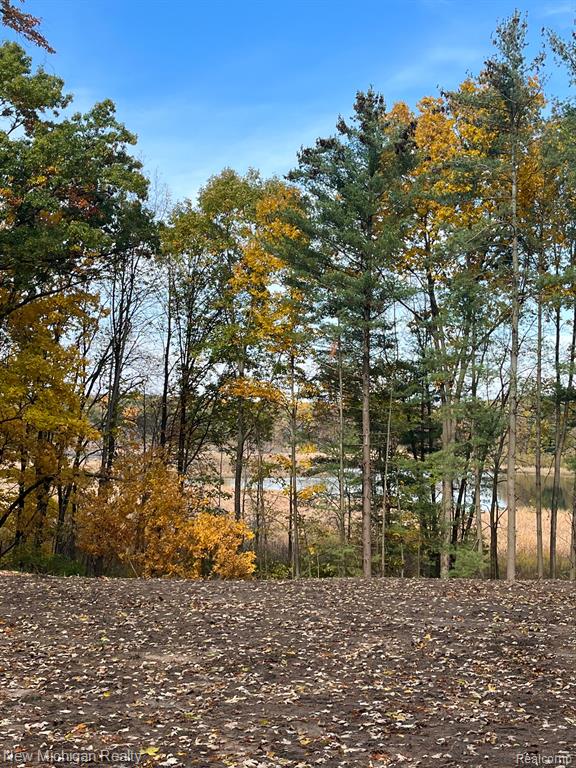 11461 WHITE LAKE Road, Fenton, MI, 48430