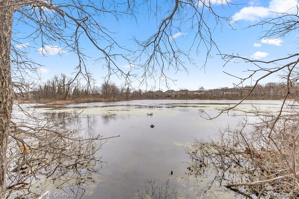 42745 LEDGEVIEW Drive, Novi, MI 48377 — Photo 52