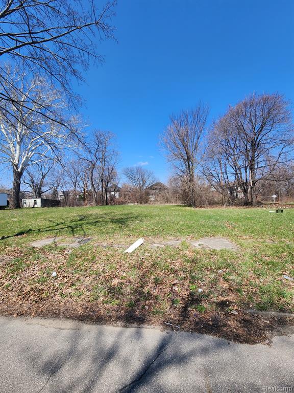 583 Leicester Court, Detroit, MI 48202 — Photo 5