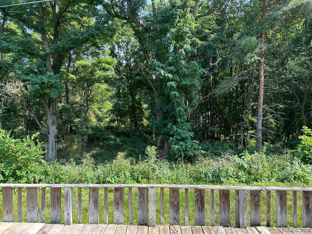 5047 ROCHESTER Road, Dryden, MI 48428 — Photo 19