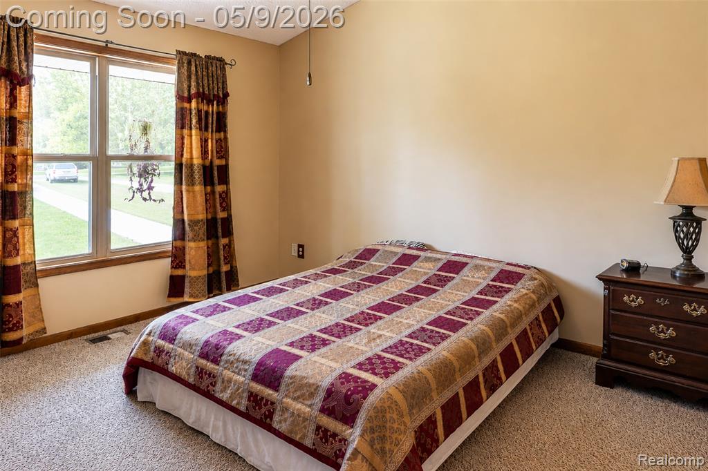11119 Garrett Drive, Fowlerville, MI 48836 — Photo 27