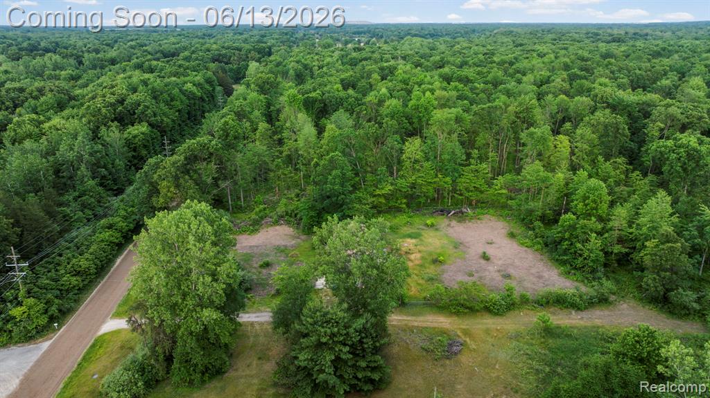 51105 Arkona Road, Belleville, MI 48111 — Photo 31
