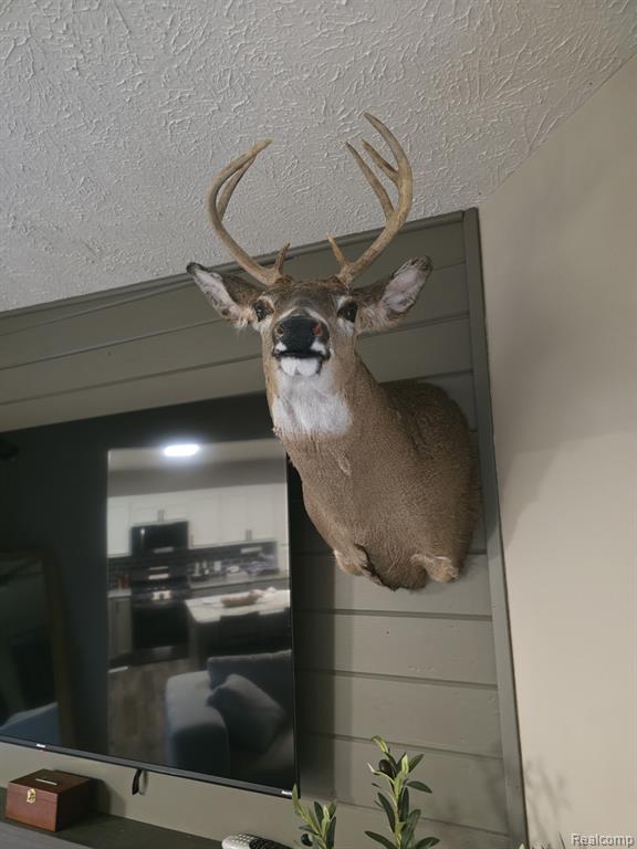 VL Mertz Road, Mayville Vlg, MI 48744 — Photo 30