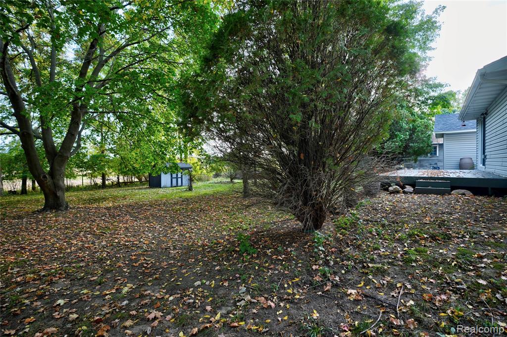 229 W Maple Street, Elsie, MI 48831 — Photo 35