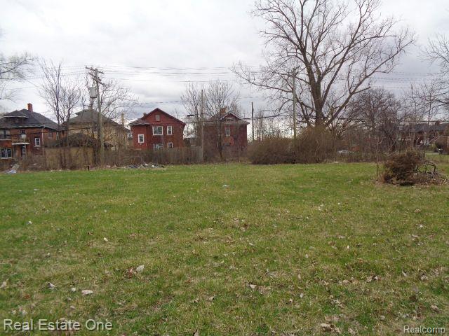 1749 COLLINGWOOD Street, Detroit, MI 48206 — Photo 4