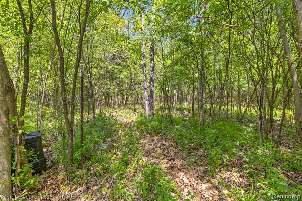 1041 Greentree Road, Bloomfield Hills, MI 48304 — Photo 69