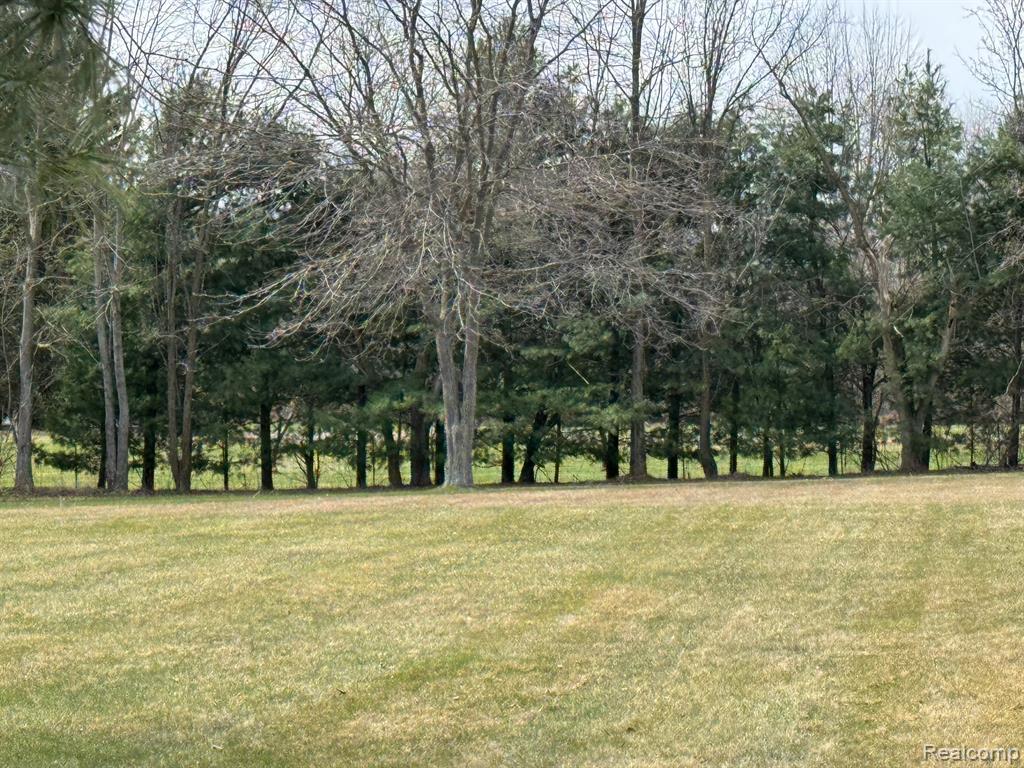 7188 Reid Road, Swartz Creek, MI 48473 — Photo 38