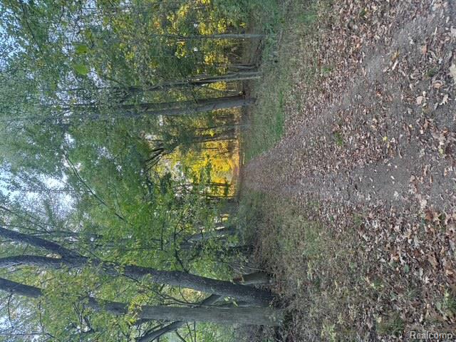 VL Rock Valley Road, Metamora, MI 48455 — Photo 18