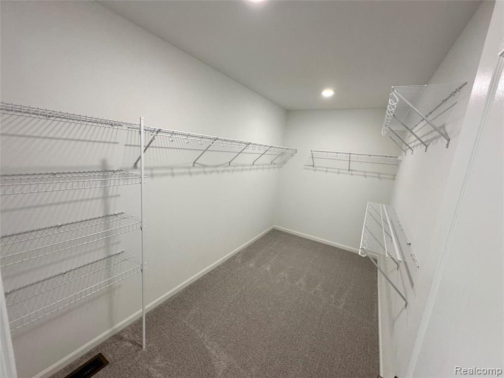 59579 Schuss Gully Drive, New Hudson, MI 48165 — Photo 25